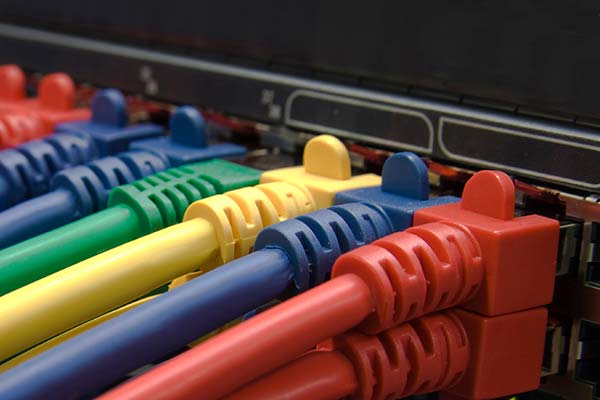 Photographie de câbles réseau sur un serveur